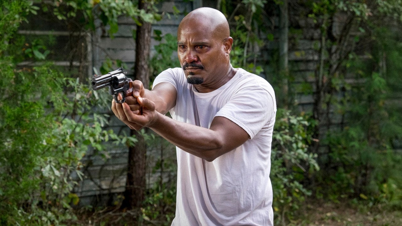 The Walking Dead {se_code} - Vider
