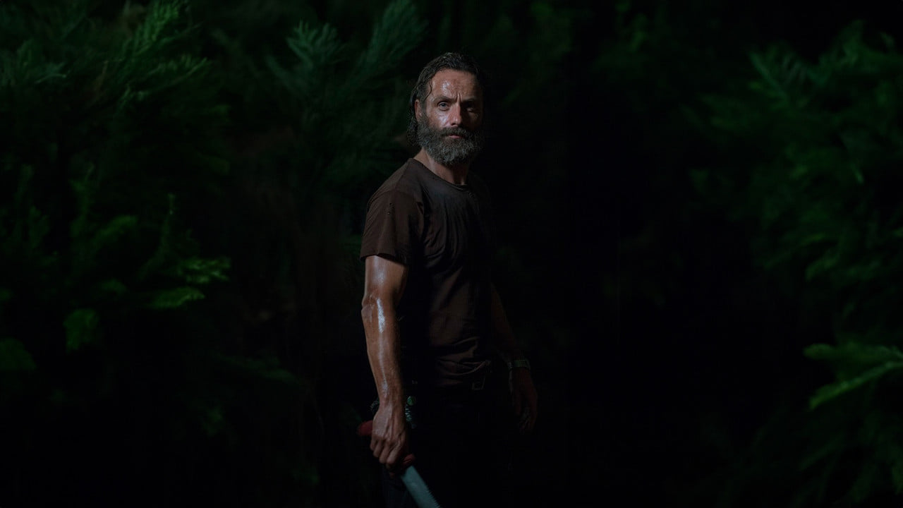 The Walking Dead {se_code} - Vider