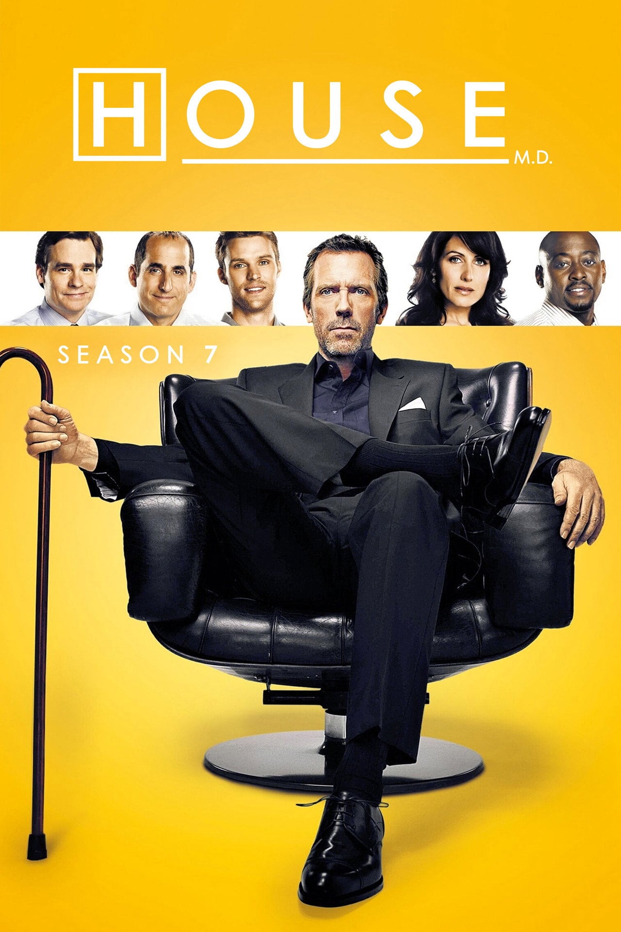 Dr House - Sezon 7 – Vider