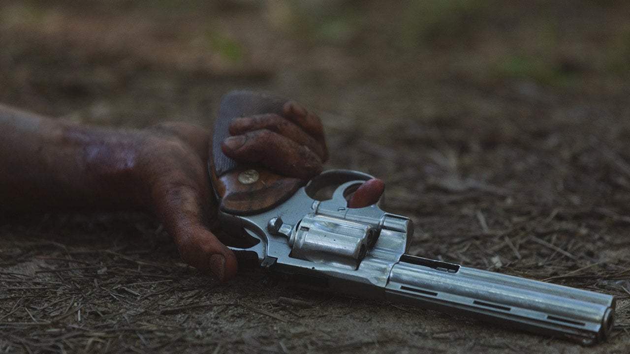 The Walking Dead {se_code} - Vider