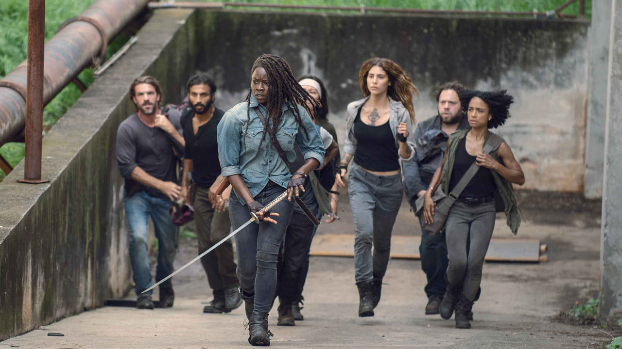 The Walking Dead {se_code} - Vider