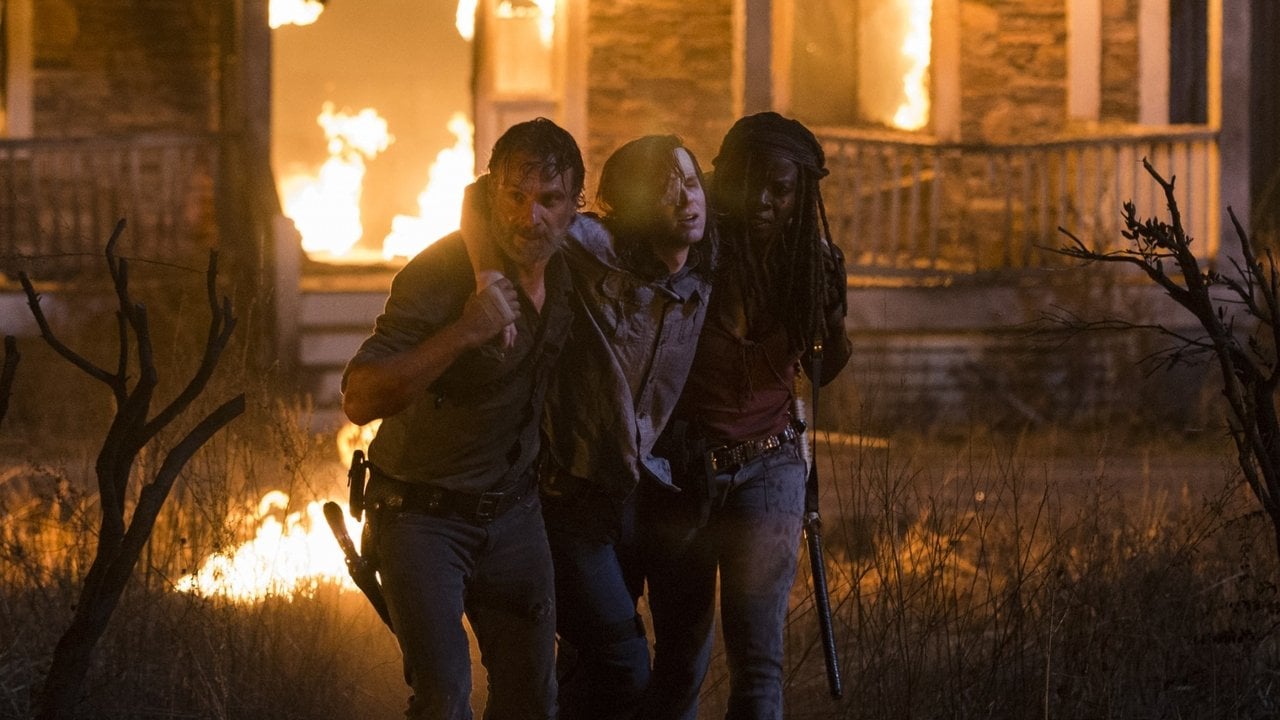 The Walking Dead {se_code} - Vider