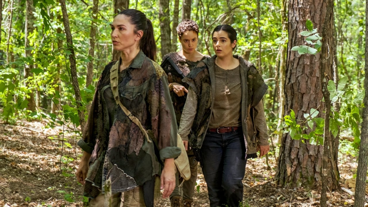 The Walking Dead {se_code} - Vider