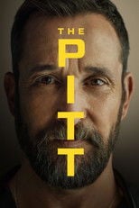 The Pitt Vider - Serial Online