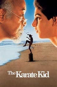 Karate Kid Vider - Cały Film