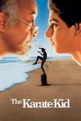Karate Kid Vider - Cały Film