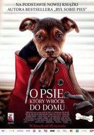 O psie, który wrócił do domu Vider - Cały Film