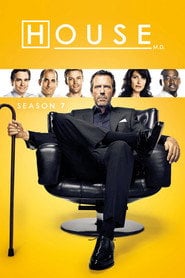 Dr House - Sezon 7 – Vider