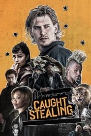 Złodziej z przypadku Vider - Cały Film