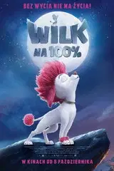 Wilk na 100% Vider - Cały Film