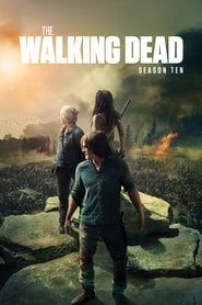 The Walking Dead - Sezon 10 – Vider