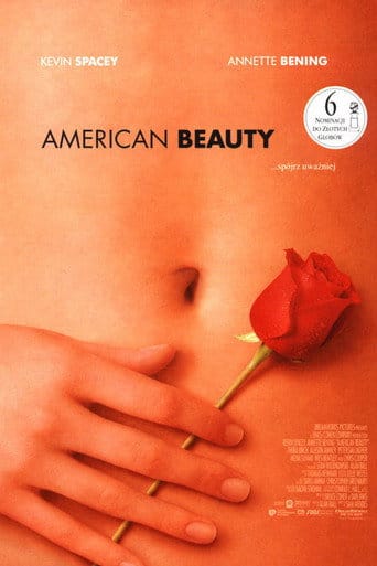 American Beauty Vider - Cały Film