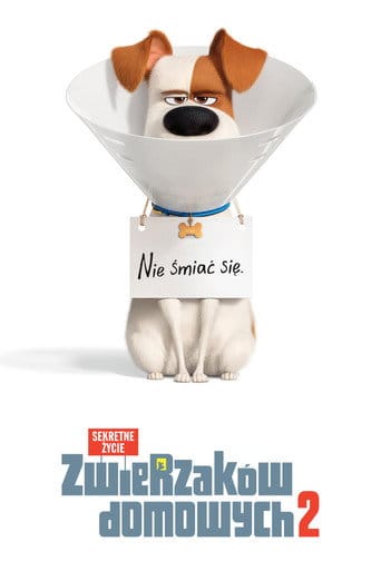 Sekretne życie zwierzaków domowych 2 Vider - Cały Film