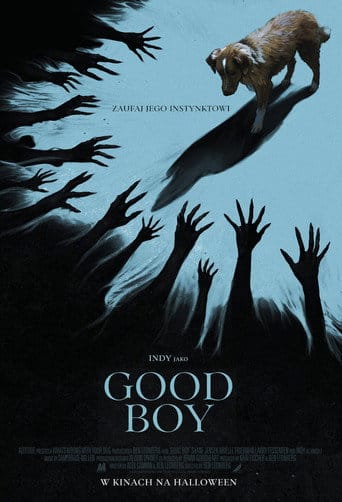 Good boy Vider - Cały Film