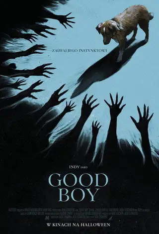 Good boy Vider - Cały Film
