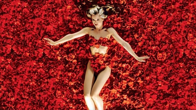 American Beauty Vider - Cały Film