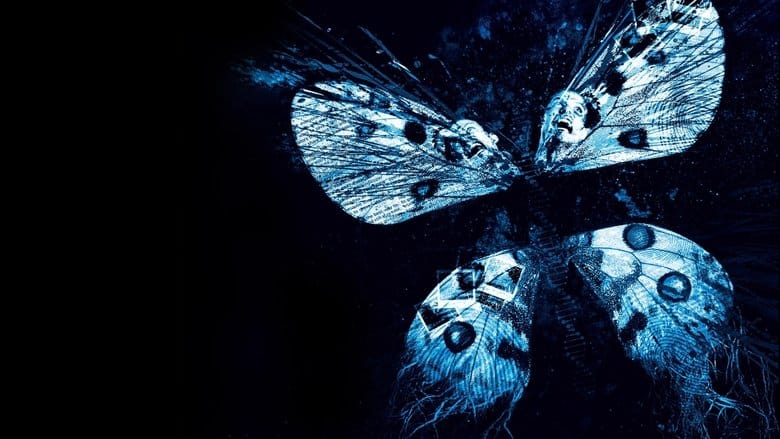 Efekt Motyla 3 Vider - Cały Film