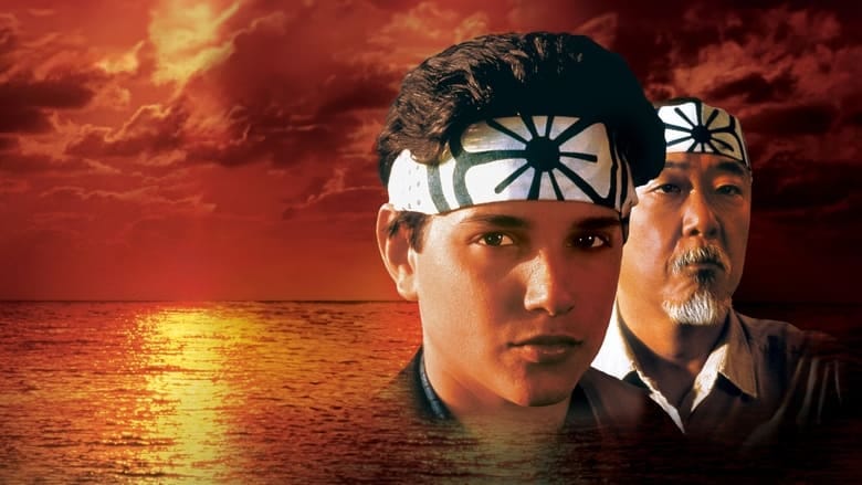 Karate Kid Vider - Cały Film