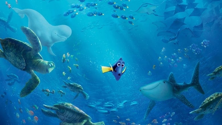 Gdzie jest Dory Vider - Cały Film
